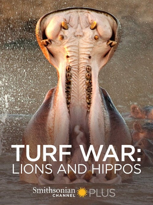 Movie poster for Turf War: Lions and Hippos (2009)