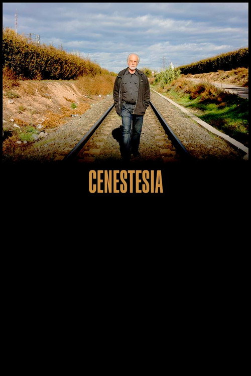 Movie poster for Cenestesia (2021)