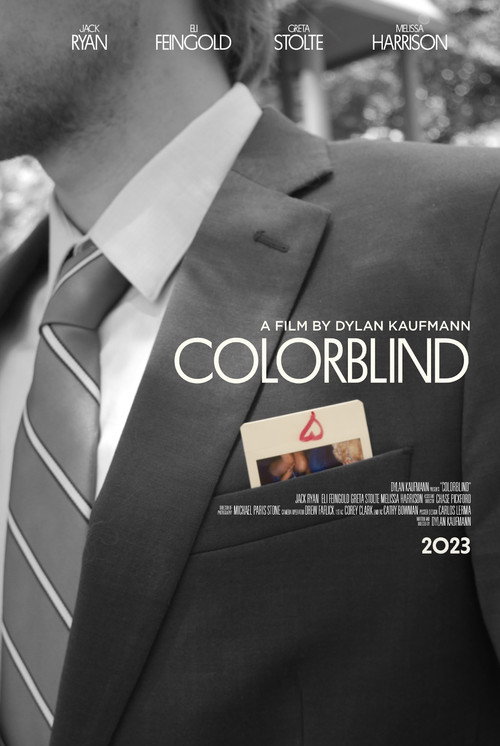 Movie poster for Colorblind (2024)