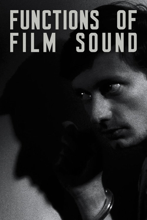 Movie poster for Functions of Film Sound (2013)