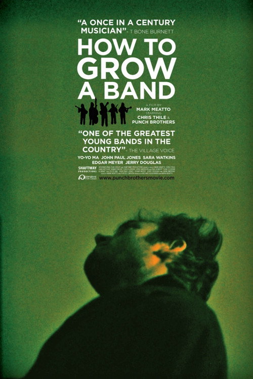 Movie poster for How to Grow a Band (2012)