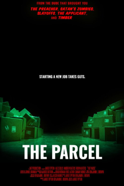 Movie poster for The Parcel (2024)