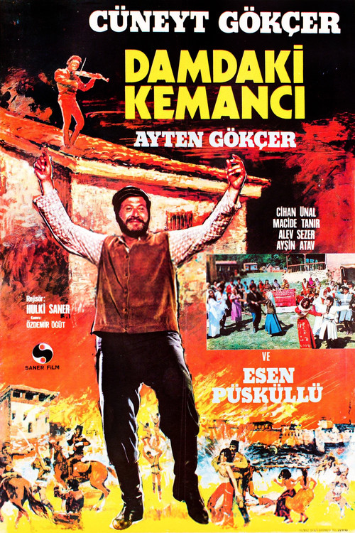 Movie poster for Damdaki Kemancı (1972)