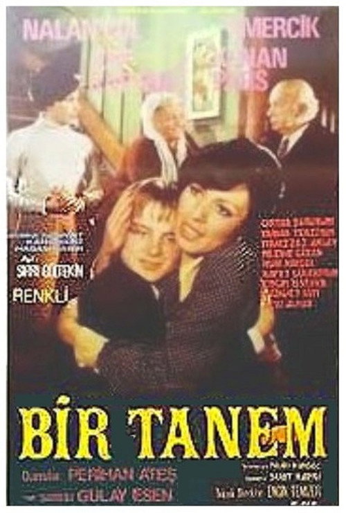Movie poster for Bir Tanem (1974)