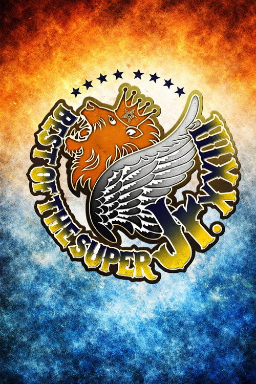 Movie poster for NJPW Best of the Super Junior 23 - Day 14 (Final) (2016)