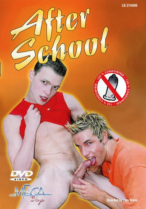 Movie poster for After School (2005)
