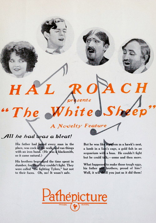 Movie poster for The White Sheep (1924)