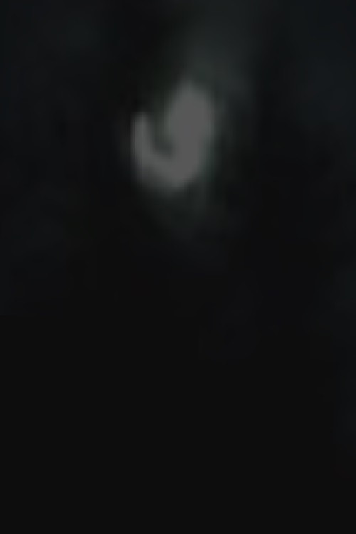 Movie poster for Moonlight (2005)