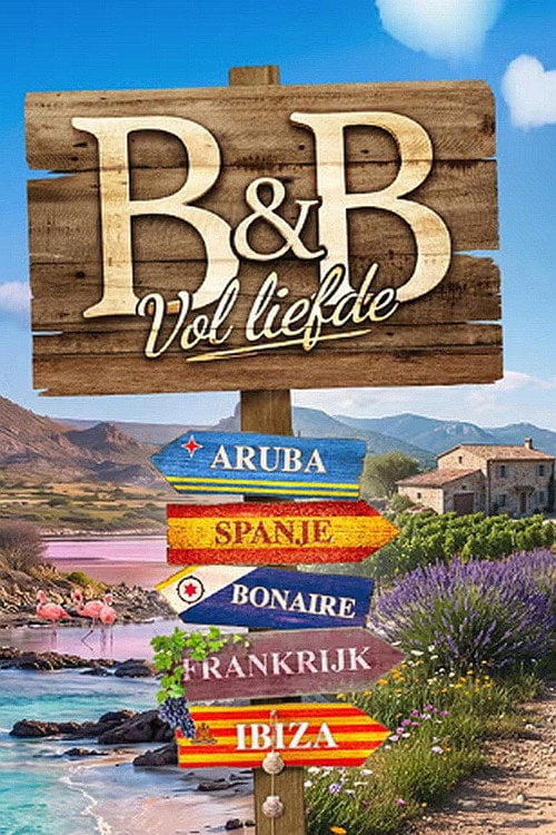 Series poster for B&B Full of Love (2021)