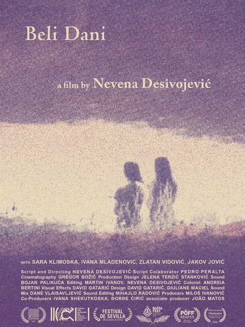 Movie poster for Bright Summer Days (2025)