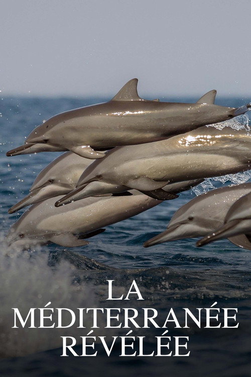 Series poster for La Méditerranée révélée (2023)