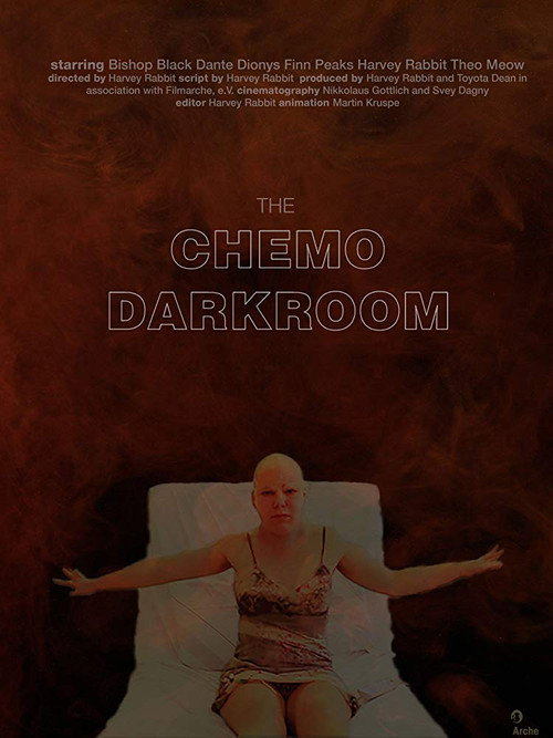 Movie poster for The Chemo Darkroom (2018)