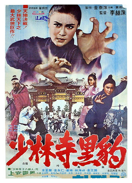 Movie poster for Heuk-pyo of Shaolin Temple (1978)