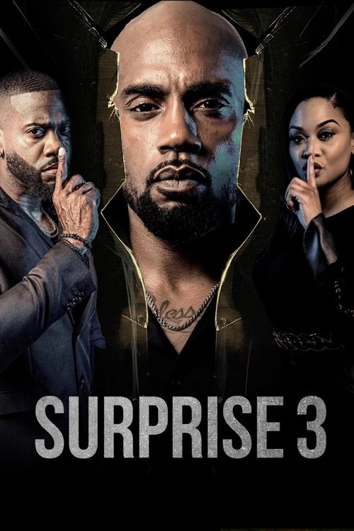 Movie poster for Surprise 3 (2024)