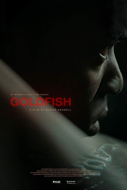 Movie poster for Goldfish (2019)