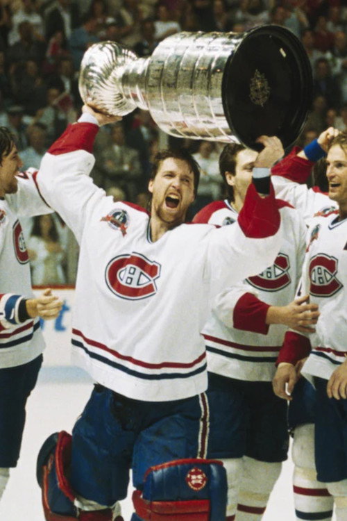 Movie poster for La Coupe Stanley à Montréal en 1993 (2008)