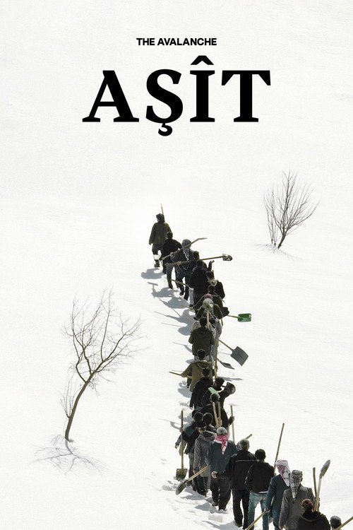 Movie poster for The Avalanche (2023)