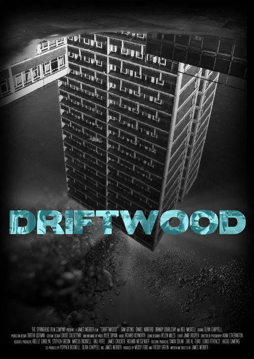Movie poster for Driftwood (2012)