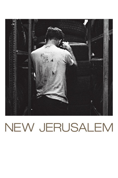 Movie poster for New Jerusalem (2011)