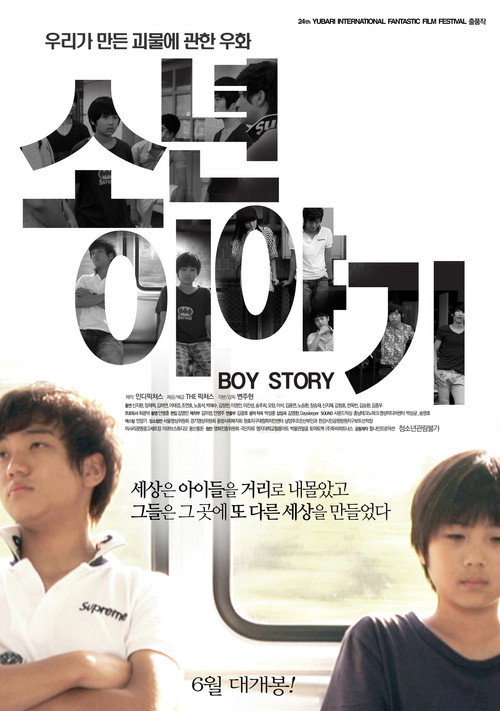 Movie poster for Boy Story (2016)