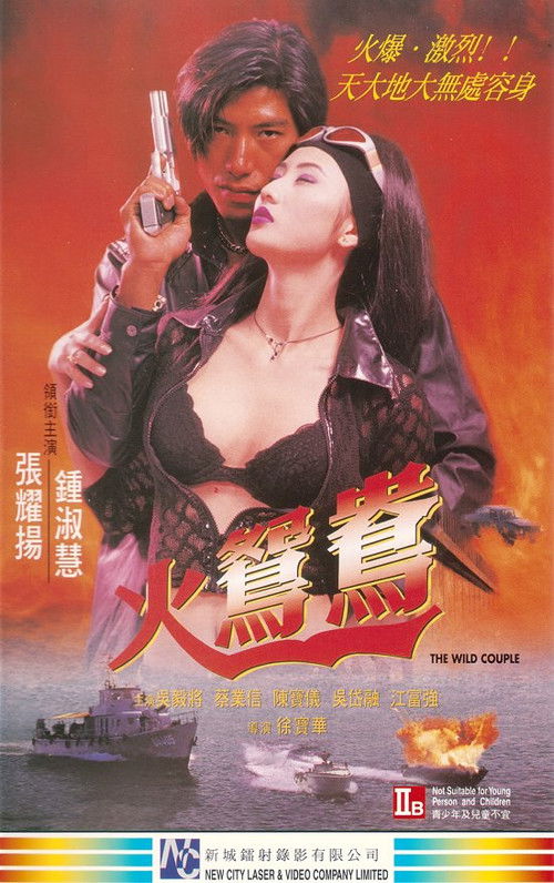 Movie poster for The Wild Couple (1996)