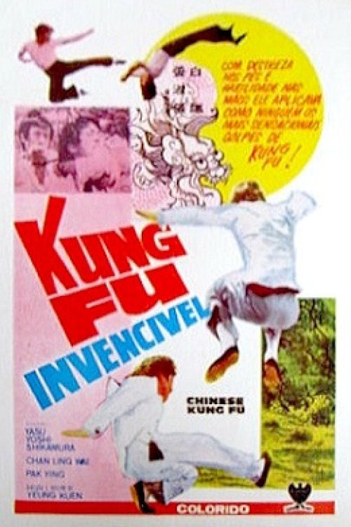 Movie poster for Chinese Kung Fu (1973)