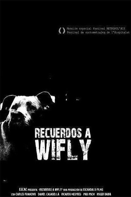 Movie poster for Recuerdos a Wifly (2009)