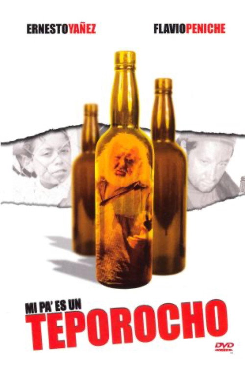 Movie poster for Memorias de un borracho (2004)