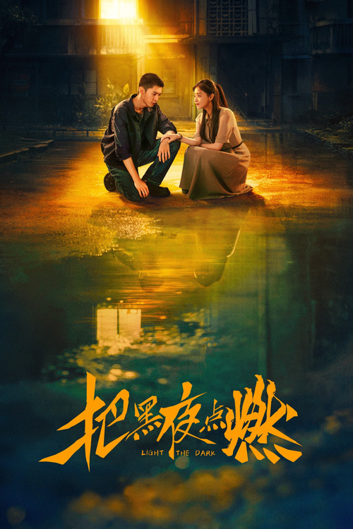 Light the Dark poster