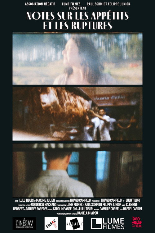 Movie poster for Notes on Apetites and Break-ups