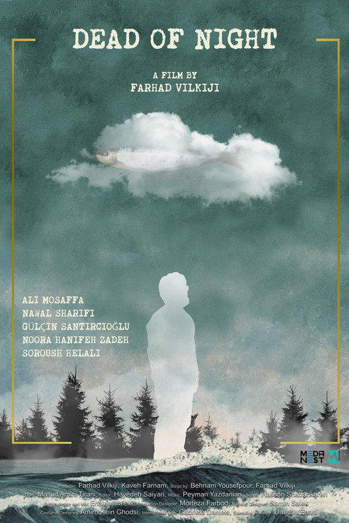 Movie poster for Dead of Night (2025)