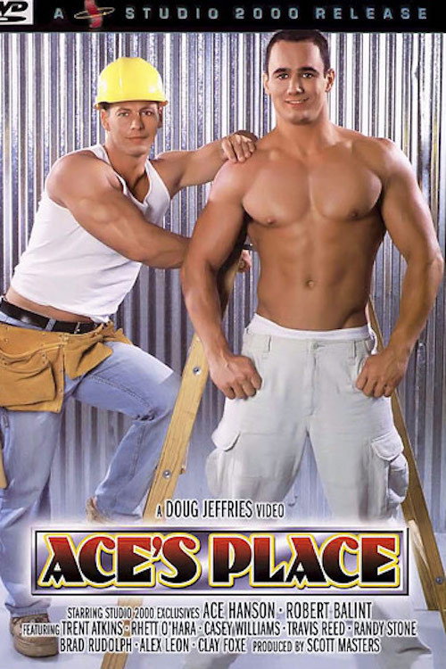 Movie poster for Ace's Place (2002)