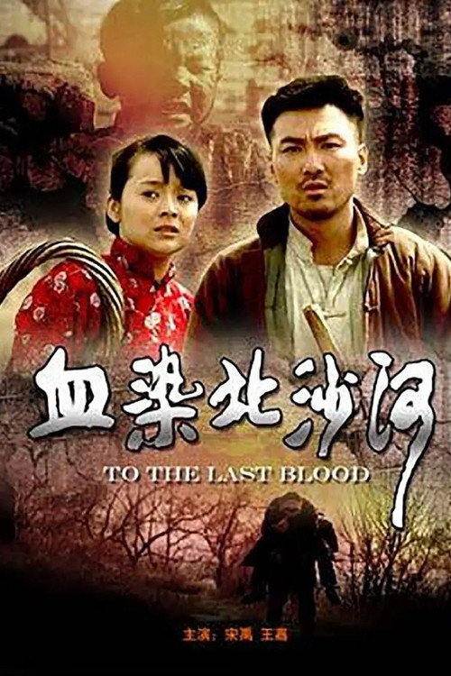 Movie poster for 血染北沙河 (2010)