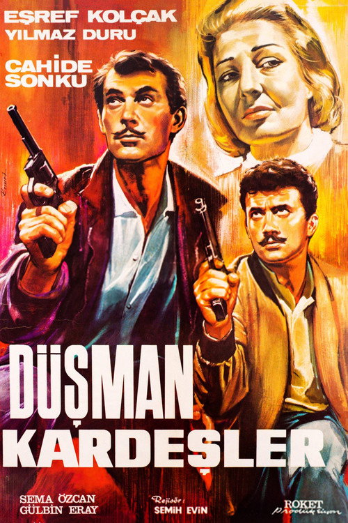 Movie poster for Düşman Kardeşler (1965)