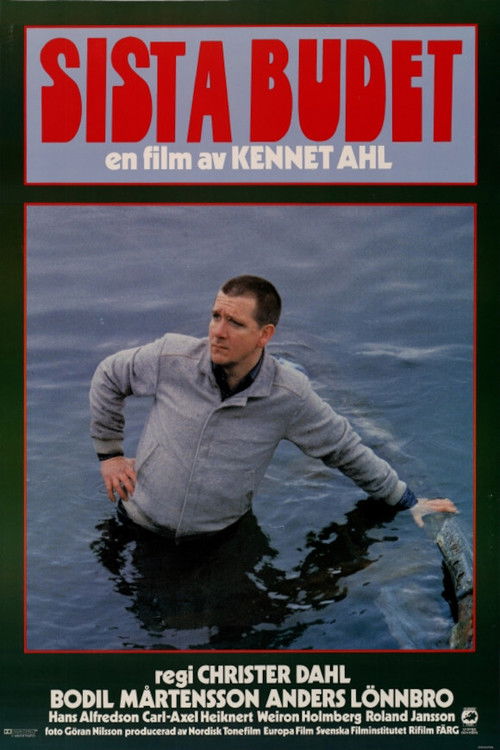 Movie poster for The Last Bid (1981)