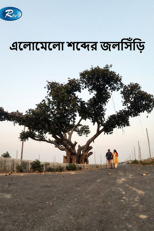 Movie poster for Elomelo Shobder Jolshiri (2015)