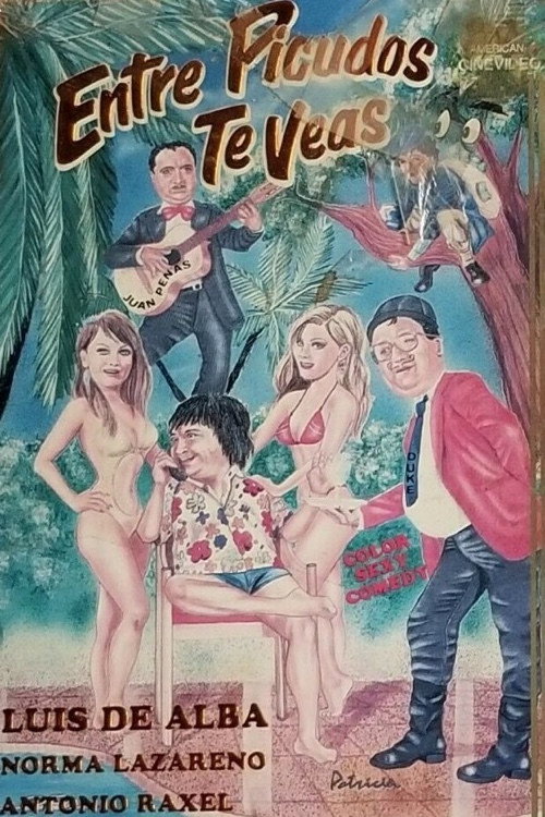 Movie poster for Entre picudos te veas (1989)