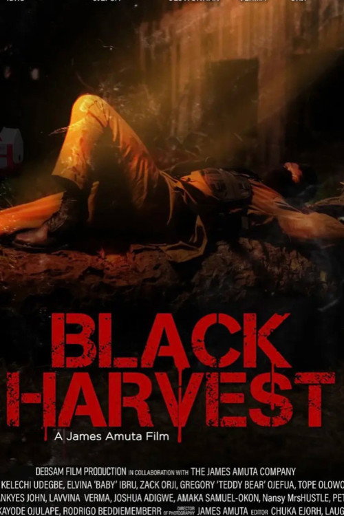 Movie poster for Black Harvest (2023)