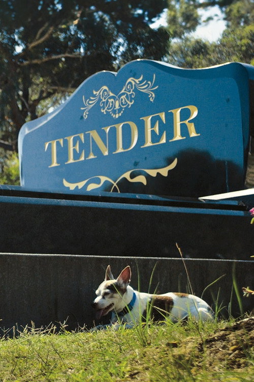 Movie poster for Tender (2014)
