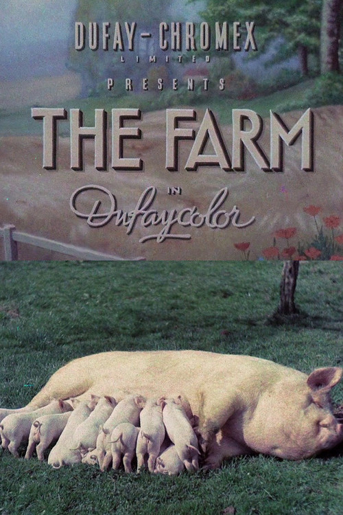 Movie poster for The Farm (1938)