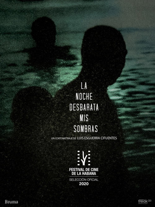 Movie poster for La Noche Desbarata mis Sombras (2020)