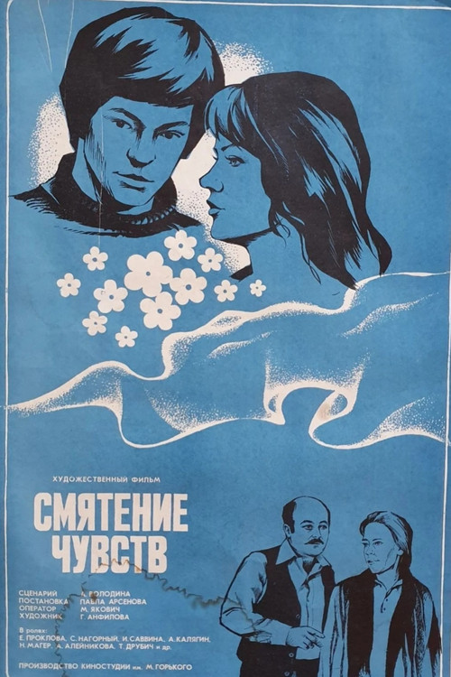 Movie poster for Confusion of Feelings (1978)
