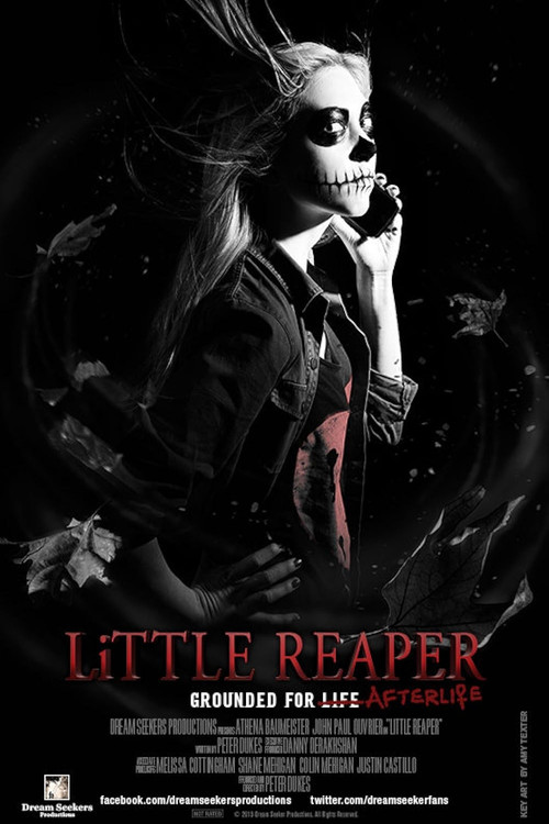 Movie poster for Little Reaper (2013)