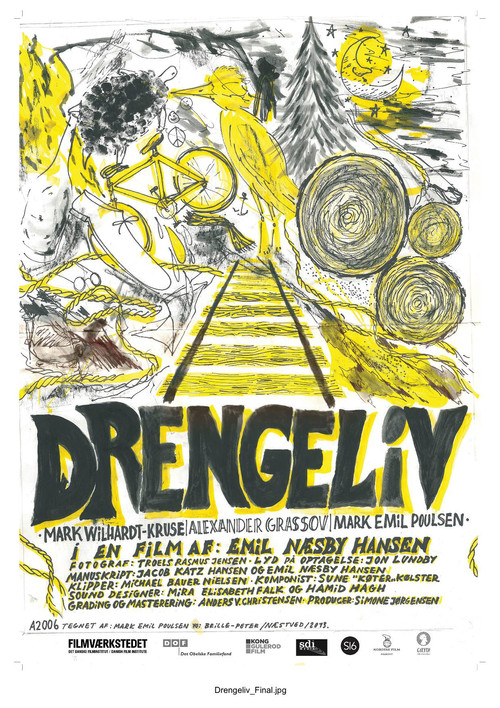 Movie poster for Drengeliv (2013)