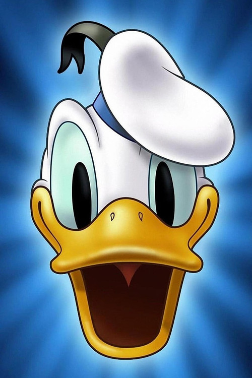 Movie poster for Duck Flies Coop (1959)