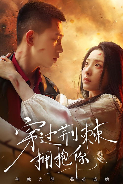 穿过荆棘拥抱你 poster