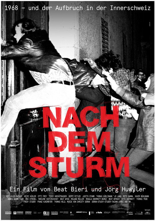 Movie poster for Nach dem Sturm (2019)