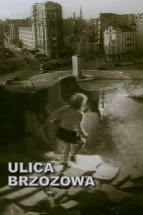 Movie poster for Brzozowa Street (1947)