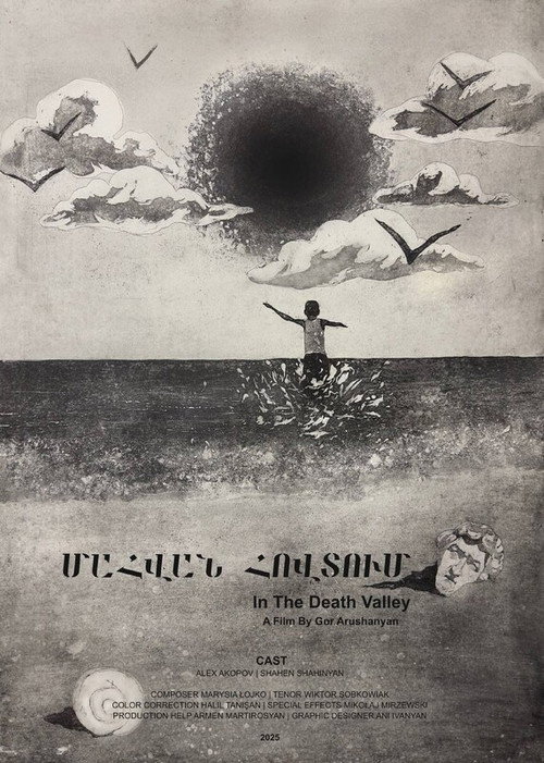 Movie poster for In The Death Valley