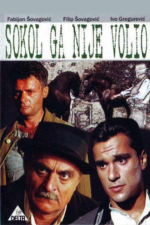 Movie poster for Sokol Did Not Love Him (1988)